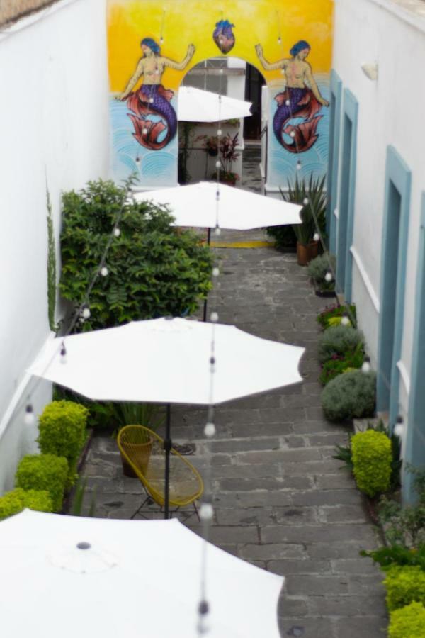 Gente De Mas Bnb Puebla Exterior photo